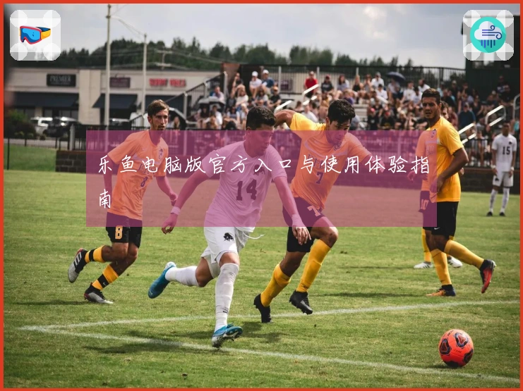 乐鱼电脑版官方入口与使用体验指南