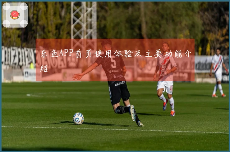 乐鱼APP首页使用体验及主要功能介绍