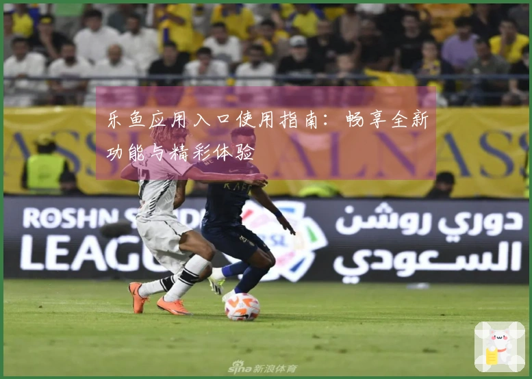 乐鱼应用入口使用指南：畅享全新功能与精彩体验