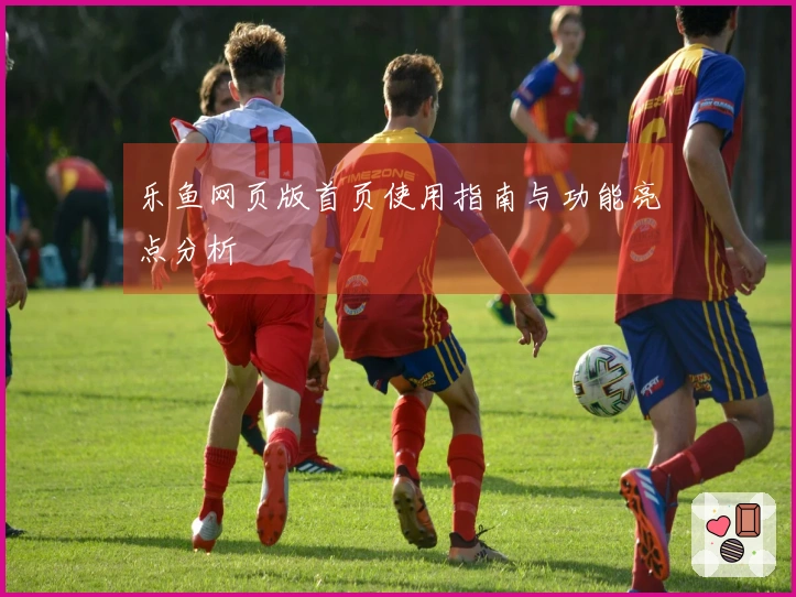 乐鱼网页版首页使用指南与功能亮点分析