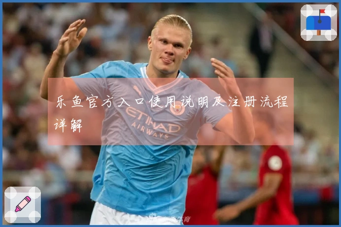 乐鱼官方入口使用说明及注册流程详解